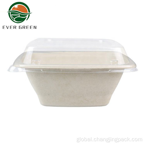Recyclable Natural Paper Salad Bowl Disposable Eco-friendly Natural Sauce Sugarcane Noodle Bowl Factory